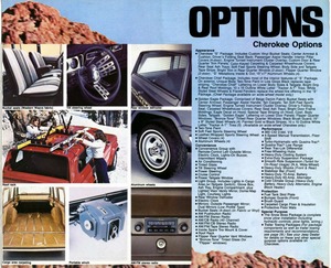 1979 Jeep Full Line-15.jpg